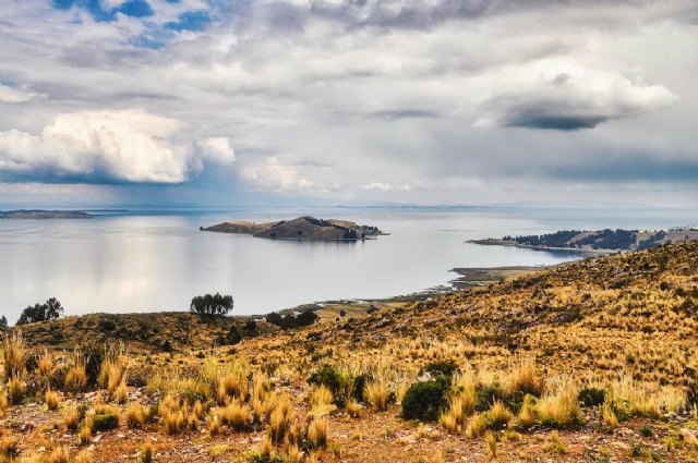 Fuente: Pexels, Foto 2