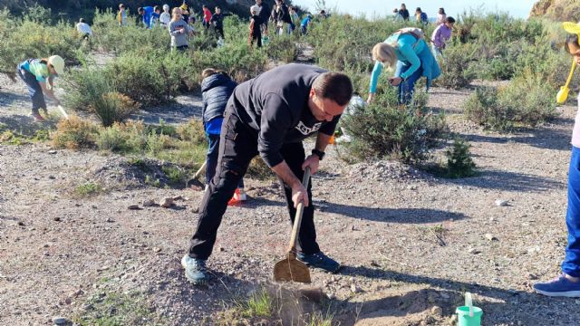 El PSOE de Lorca aplaude la plantación de 100 árboles de acebuches y algarrobos por los alumnos del CBM San Fernando, “una semilla de conciencia” - 3, Foto 3