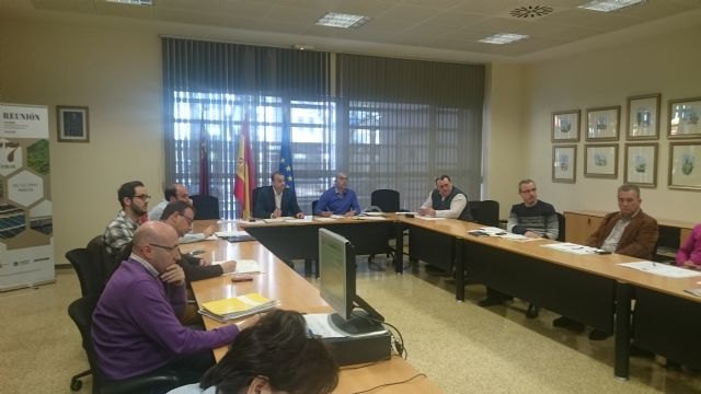 Agricultura reduce la caza de la codorniz a cuatro domingos para recuperar las poblaciones de esta especie - 1, Foto 1