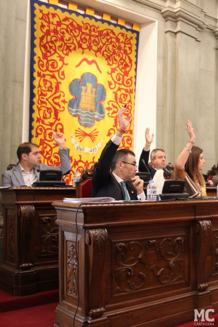 MC Cartagena consigue el respaldo del Pleno para exigir al Gobierno estatal que retire la guía de valoración que desacredita a los enfermos de fibromialgia - 4, Foto 4