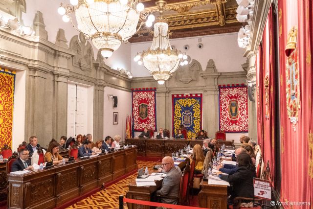 El pleno se solidariza con los abogados cartageneros apoyando las demandas del turno de oficio - 1, Foto 1