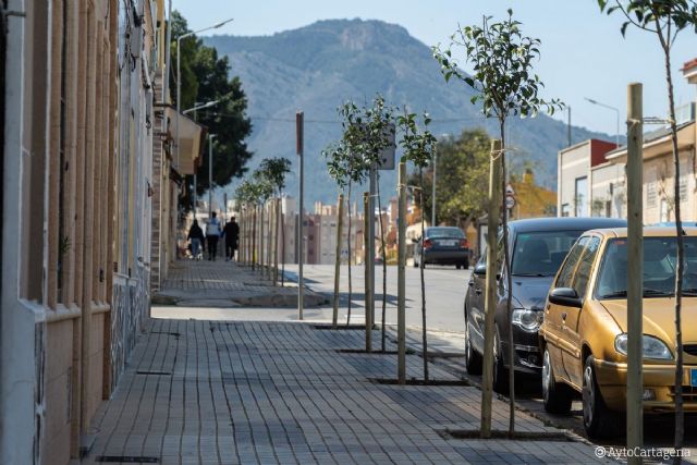 El Ayuntamiento planta nuevo arbolado en San José Obrero y podará 2.400 palmeras en Isla Plana y La Azohía - 1, Foto 1