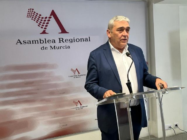 El grupo parlamentario liberal defiende una homogeneización de los criterios para reconocer y tratar las enfermedades raras - 1, Foto 1