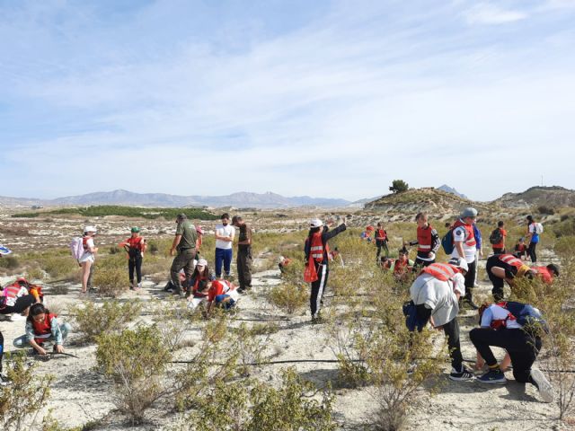 Las empresas de áridos rehabilitan la zona protegida de Ajauque y Rambla Saladaplantando 2.000 árboles - 1, Foto 1