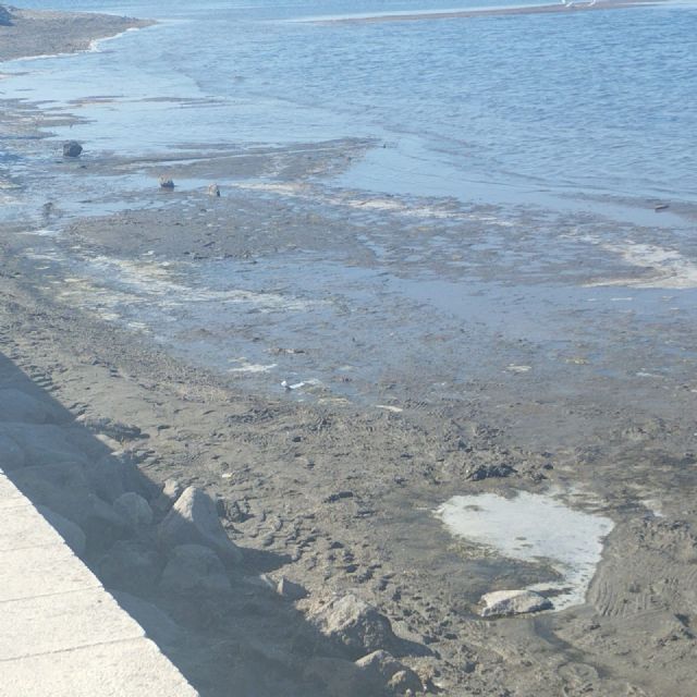 Contigo Cartagena: Los Nietos suciedad y abandono - 3, Foto 3