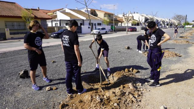 El Fan Futura Fest planta árboles para compensar su huella de carbono - 3, Foto 3