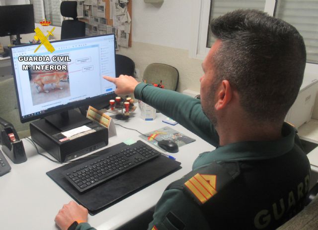 La Guardia Civil investiga a un vecino de Águilas por abandono y maltrato animal de dos perros - 2, Foto 2