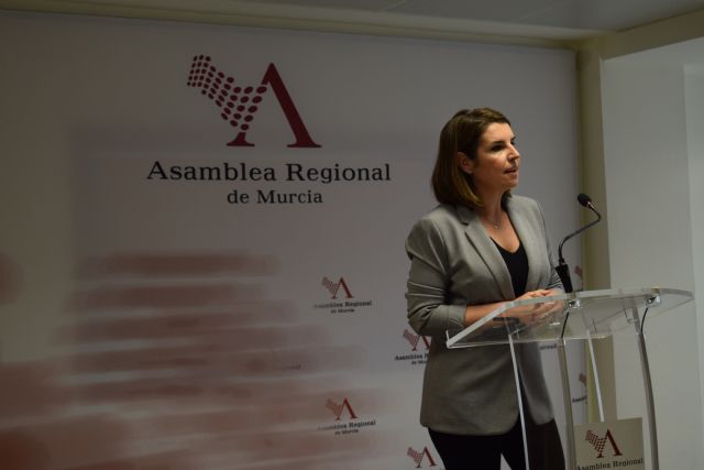 Avanzan los trámites para modificar la ley de Transporte Marítimo de Pasajeros - 1, Foto 1