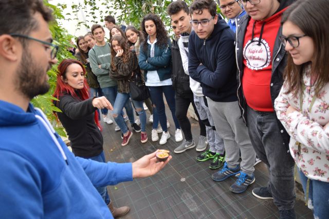 Un centenar de alumnos de Secundaria descubren cómo sabe el maracuyá hidropónico - 1, Foto 1