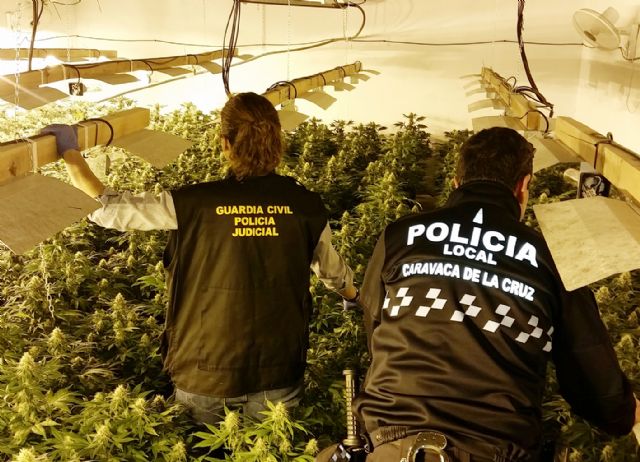 Desmantelan un invernadero de marihuana en una vivienda de la pedanía caravaqueña de Los Prados - 1, Foto 1