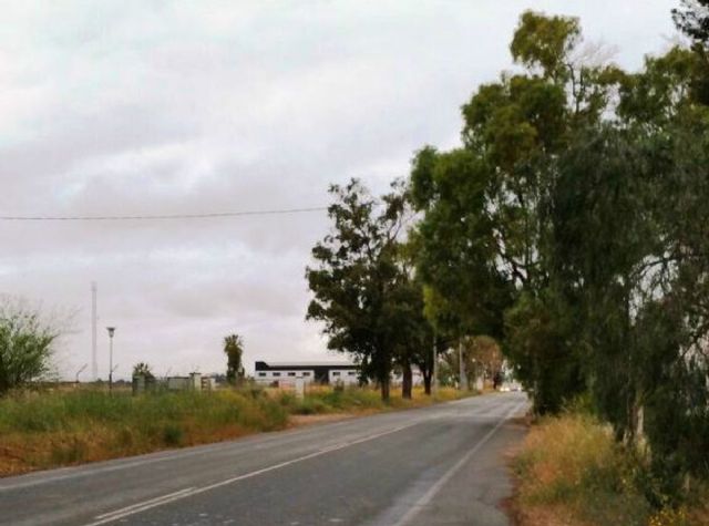 Desarrollo Sostenible trabaja en el proyecto para la construccion de una senda y un carril bici en el acceso a Santa Ana por la antigua N-301 - 1, Foto 1