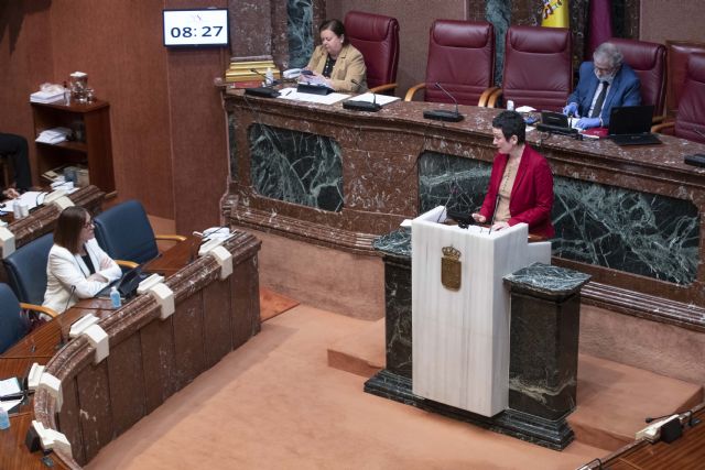 María Marín: no es tiempo de más privatizaciones, sino de reforzar nuestras residencias públicas de mayores - 1, Foto 1