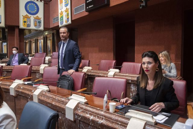 El PP reclama al Gobierno de España un fondo extraordinario no reembolsable para atender las necesidades sociales ante la crisis del coronavirus - 1, Foto 1