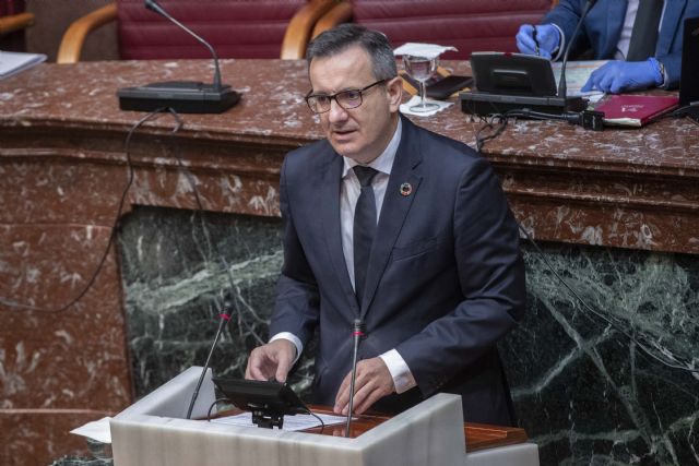 Diego Conesa pide a la vicepresidenta del Gobierno regional que lidere el cambio en las políticas sociales que necesita y se merece la Región - 2, Foto 2