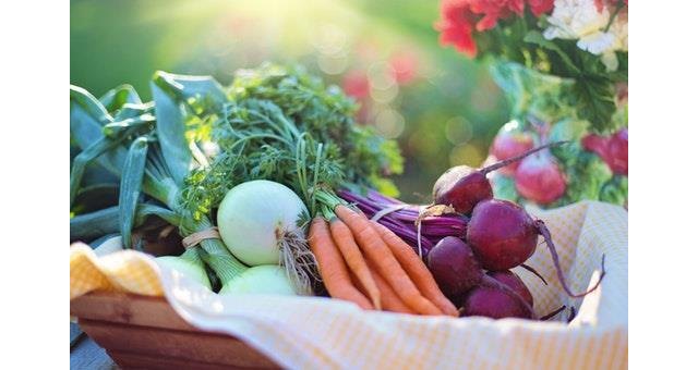 Los hogares españoles incrementan el consumo de frutas y hortalizas, legumbres y pescado fresco - 1, Foto 1