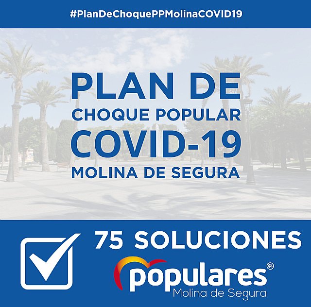 El PP aporta un Plan de Choque y plantea un pacto al Equipo de Gobierno para salir de la situación provocada por Covid19 - 1, Foto 1