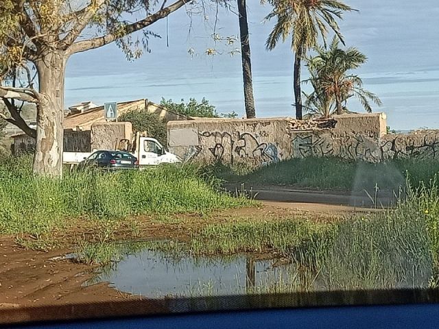 Tras dos años de reclamaciones de MC, el Gobierno y la propietaria comienzan a asumir que deben reparar el muro del monasterio de San Ginés de la Jara - 1, Foto 1