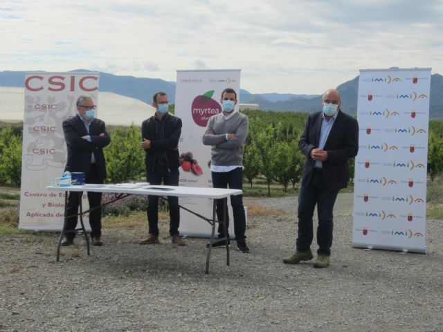 El IMIDA y el CEBAS-CSIC presentan sus dos primeras variedades de ciruela que podrán comenzar a cultivarse este mismo año - 1, Foto 1