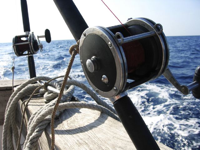 E-commerce como posible motor económico de un territorio: ¡Amazon y Piscor operan en San Salvo (Italia)! - 1, Foto 1