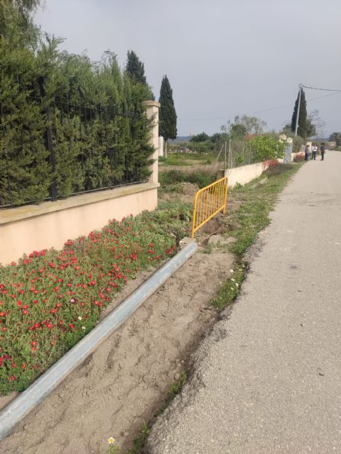 La alcaldesa visita la primera fase de la instalación del nuevo alumbrado público en el camino Motores de Payá de la pedanía de El Esparragal - 4, Foto 4