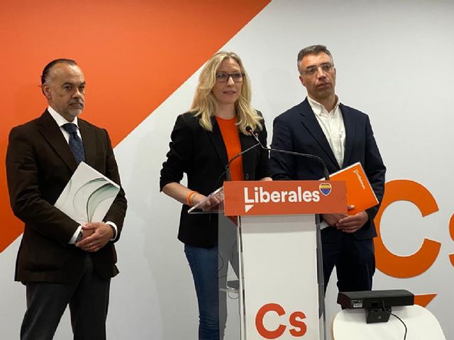 Ciudadanos propone un plan de choque con 16 medidas económicas urgentes para ayudar a los autónomos ante la crisis - 1, Foto 1