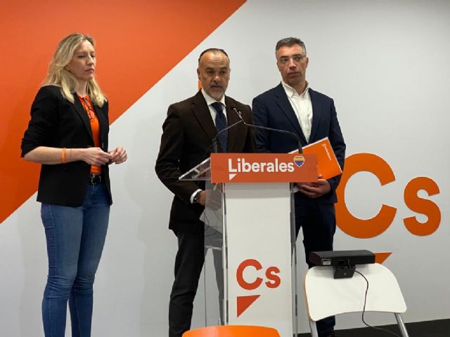 Ciudadanos propone un plan de choque con 16 medidas económicas urgentes para ayudar a los autónomos ante la crisis - 2, Foto 2