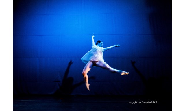29 ABRIL: La SGAE reivindica una mayor programación de danza y espacios específicos para su difusión - 1, Foto 1