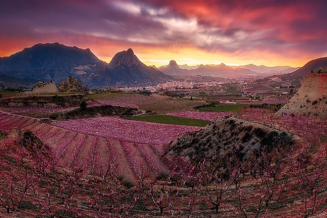 Cieza, uno de los 15 paisajes protagonistas de la nueva campaña de nutella - 1, Foto 1
