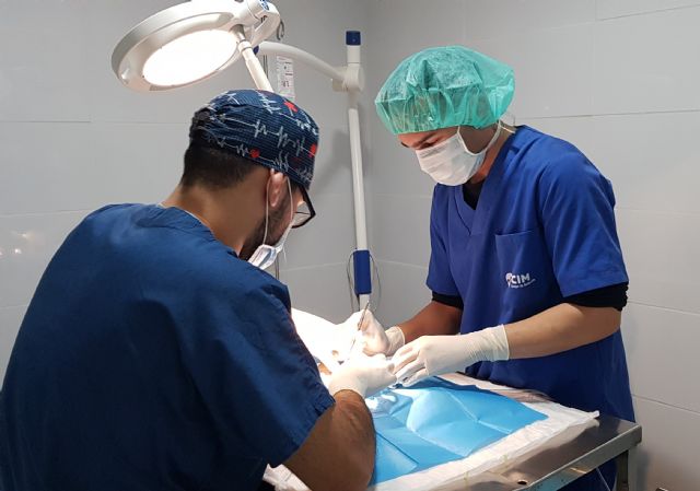 El 43% de los hogares españoles tiene algún animal de compañía en casa - 1, Foto 1