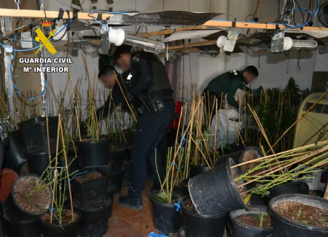 La Guardia Civil detiene a dos vecinos de Cieza dedicados al cultivo de marihuana - 2, Foto 2