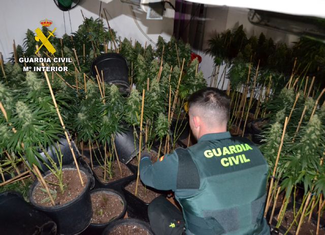 La Guardia Civil detiene a dos vecinos de Cieza dedicados al cultivo de marihuana - 4, Foto 4