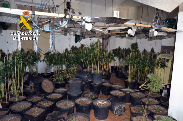 La Guardia Civil detiene a dos vecinos de Cieza dedicados al cultivo de marihuana - 5, Foto 5