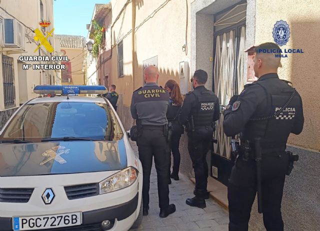 Esclarecidos 14 robos en vehículos y dos robos con violencia en Mula - 3, Foto 3