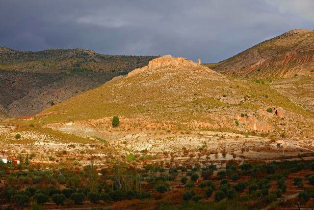 Balance del pleno de abril de 2026 - 5, Foto 5