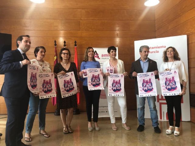 La XIV Fiesta Solidaria del Cáncer de Mama de la Asociación Amiga se celebra el próximo viernes - 1, Foto 1