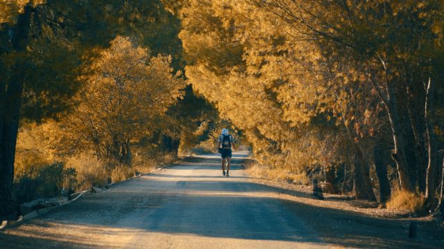 Vuelve la nueva edición del reto de los 90 kilómetros - 3, Foto 3