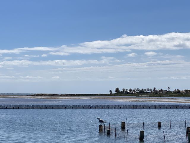 VOX visita el Mar Menor e insiste en el dragado de golas para salvarlo - 3, Foto 3