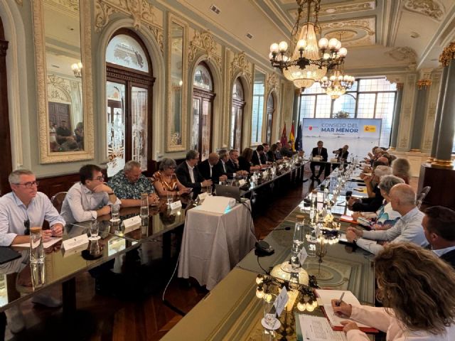 Constituido el órgano de participación del Mar Menor para unir voces y coordinar soluciones - 2, Foto 2