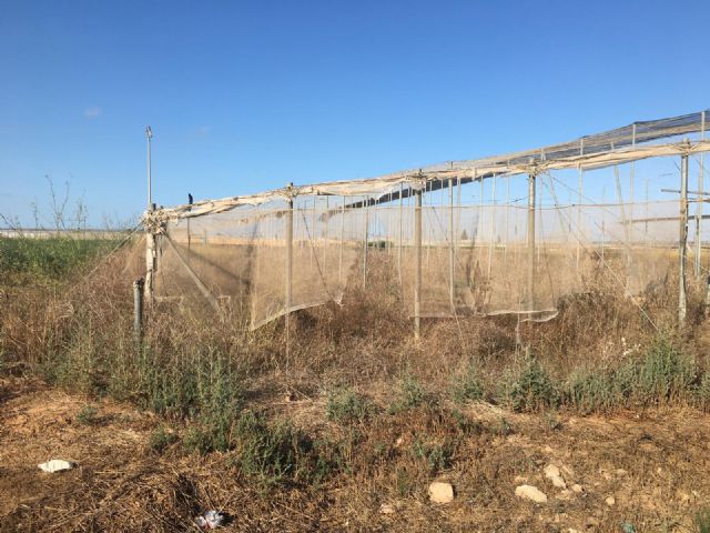 El inminente programa de nitratos murciano arrasa con 9 de cada 10 agricultores de la regi�n