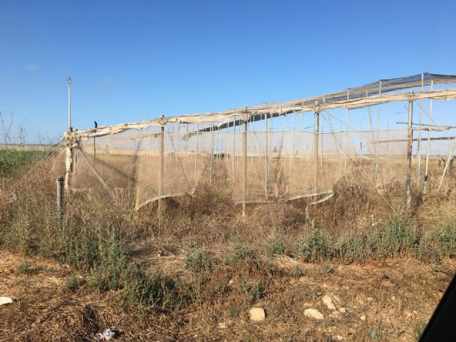 El inminente programa de nitratos murciano arrasa con 9 de cada 10 agricultores de la región - 3, Foto 3
