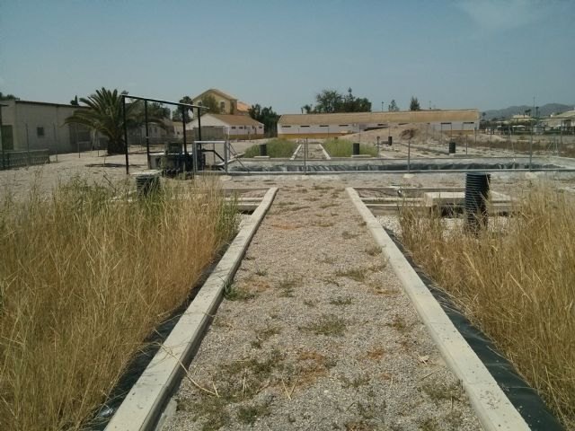 Agricultura aborda en una jornada la gestión de los purines de cerdo - 1, Foto 1