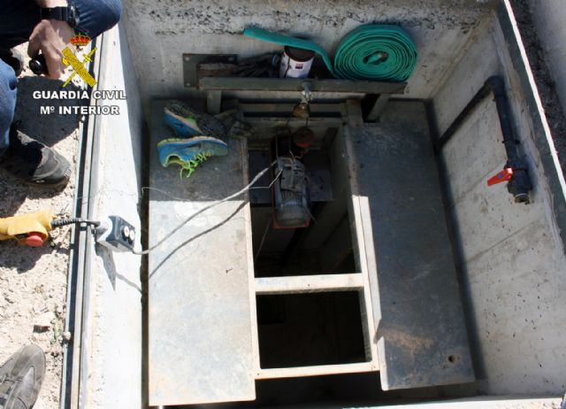 La Guardia Civil desmantela una organización criminal dedicada a surtir de plantas de marihuana a otros grupos delictivos - 1, Foto 1