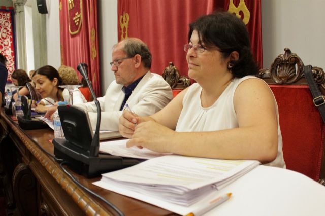 Cs denuncia en el Pleno el peligro de los cilindros amarillos de separación ubicados en un tramo de Sebastián Feringán - 1, Foto 1