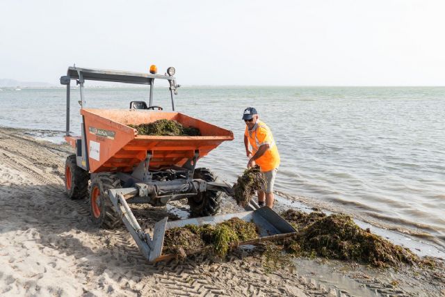 Se intensifican las labores de limpieza y mantenimiento de las playas cartageneras - 1, Foto 1