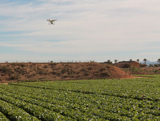 La transformación digital, una oportunidad para el sector hortofrutícola murciano - 1, Foto 1