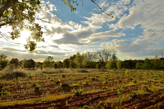 De turismo vinícola por el Valle del Jamuz en tres propuestas para verano y otoño - 1, Foto 1