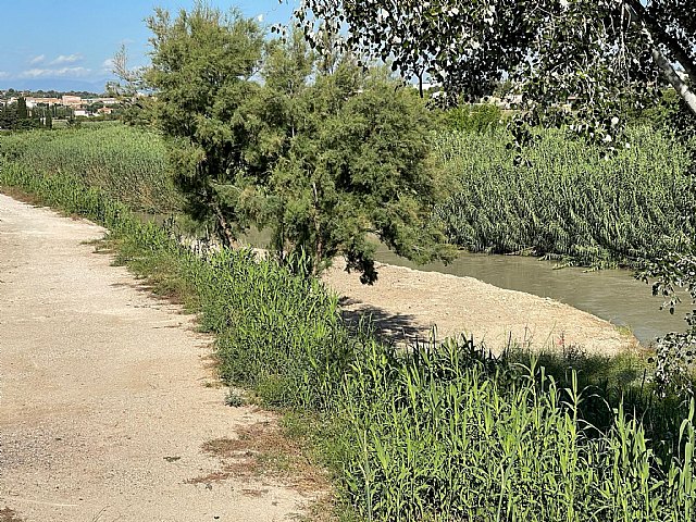 La Ribera de Molina recupera la playa fluvial de Las Peñetas - 1, Foto 1