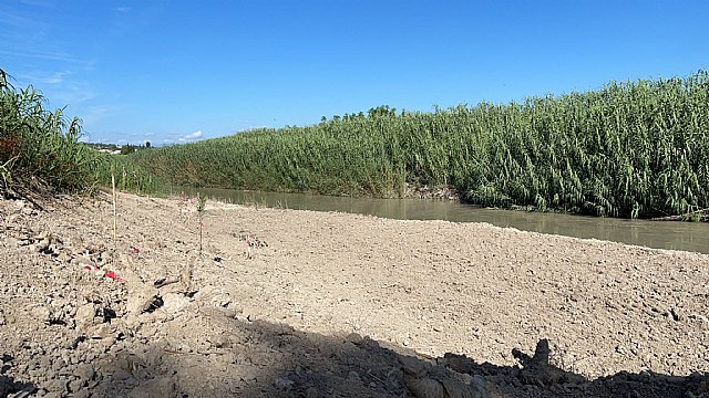 La Ribera de Molina recupera la playa fluvial de Las Peñetas - 3, Foto 3