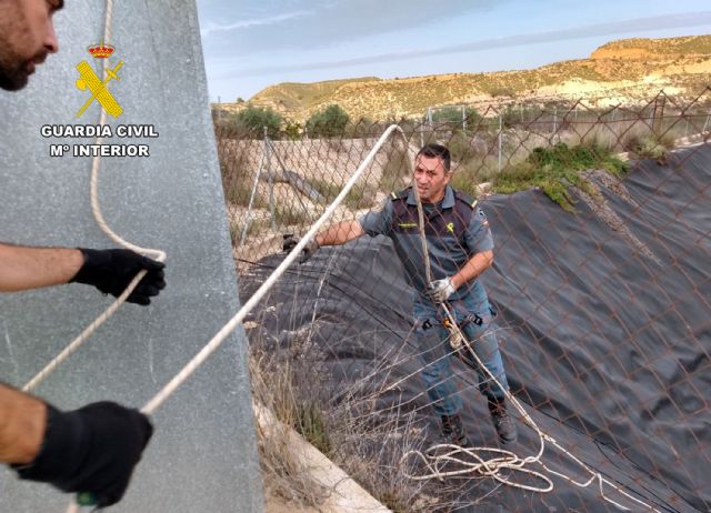 La Guardia Civil rescata dos perros atrapados en una balsa de riego de Librilla - 2, Foto 2
