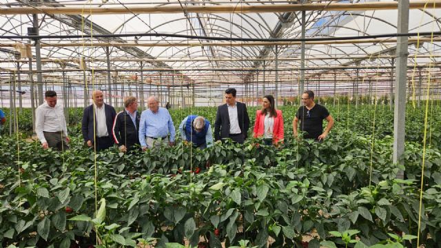 La Región de Murcia, finalista de los premios de Agricultura ecológica de la UE - 1, Foto 1